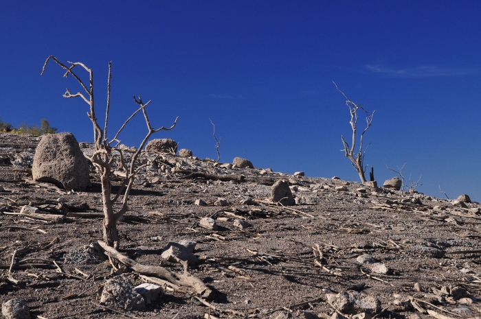 lake pleasant at low level